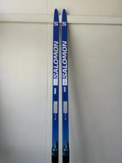 SALOMON SLAB スケーティング　192cm クロスカントリースキー SALOMON SLAB スケーティング 192cm クロスカントリースキー - メルカリ