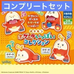 ポケモン ホゲータいっぱいコレクション　全4種セット コンプリート