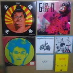 有頂天 ケラ　レコード カセットテープ　まとめて 2025年最新】有頂天 ケラの人気アイテム - メルカリ