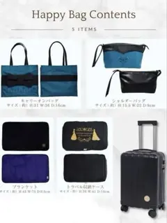 アナと雪の女王　 キャリーバッグ　5点セット