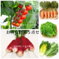 ひまらっきー様 リクエスト 3点 まとめ商品