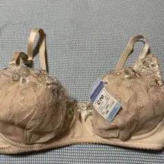 Item thumbnail for item e694e8f7-d24c-452e-9827-352d0d8f0566