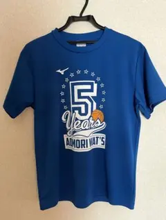 MIZUNO 東洋高校 バレーボール シャツ ミズノ ALL 2025 in IBARAKI 高校バレー記念Tシャツ イエロー - メルカリ