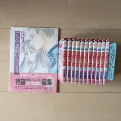 氷室冴子 銀の海金の大地 なんて素敵にジャパネスク 22冊 全巻セット 