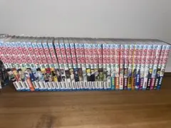 HUNTER×HUNTER 1〜36巻