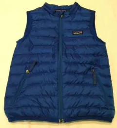 パタゴニア ダウンベスト