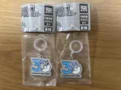 ポケモン　めじるし　30周年メタルチャームマスコット　ガチャ