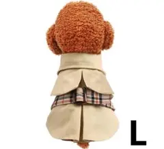 Item thumbnail for item 1af7c876-e412-4e96-b120-83e197da3f16