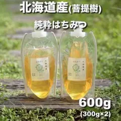 国産 百花蜂蜜 3個 600g 群馬県 坂井養蜂場 長野 ツルヤ - メルカリ