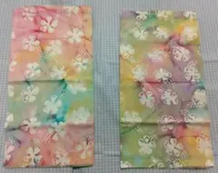 Item thumbnail for item be6b2df2-3e87-4bed-a6b5-f16cd81c5fe3