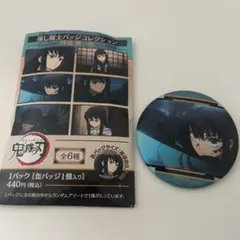 鬼滅の刃 推し隊士コレクション缶バッジ 時透無一郎 - メルカリ