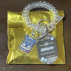 JOCHUM 極楽湯　コラボ　ピーハイ　ロッカーキー風キーホルダーのサムネイル