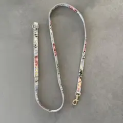 バディベルト　リード　バハマ