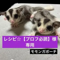 フクロモモンガポーチ　☆Lu☆プロフ必読☆様 じゅな様専用 - メルカリ