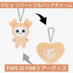 TWICE ジヒョ リバーシブルバッグチャーム THIS IS FOR