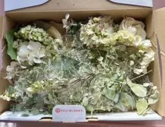 ドライフラワー ホワイト　グリーン系