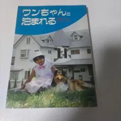 【中古】 ワンちゃんと泊まれる全国ペンション・ガイド（2） 2026年最新】全国ペンションガイドの人気アイテム - メルカリ