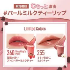 メイベリン　ヴィニルインク　255 260 限定 復刻のサムネイル