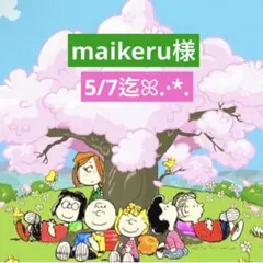 maikeru様 専用ページ