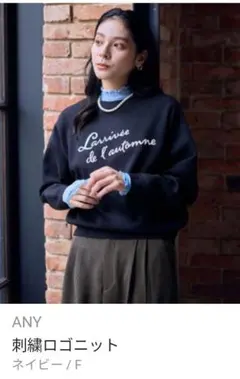 ひさぴん様専用ANY（anyFAM） 刺繍ロゴニット ネイビー F