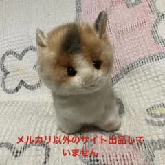 美品】 タヌキの剥製 木製台座付き - メルカリ