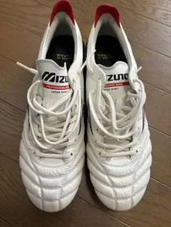 ※Kartoon様まとめ買い専用Mizuno モレリアネオシューズ28.0