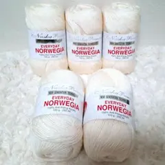 毛糸 エブリデイ ノルウェージア Col.402 (100g玉巻) 5玉