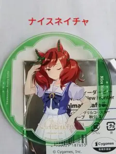2026年最新】ナイスネイチャの人気アイテム - メルカリ