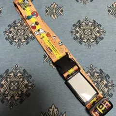 開封未使用】ピンズ&ネックストラップ ポケモンワールドチャンピオン