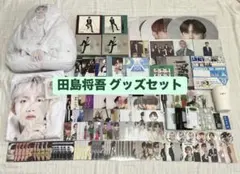 INI 田島将吾 グッズセット まとめ売り トレカ うちわ アクスタ