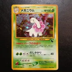 旧裏 ヒメグマ イントロパック☆neo 初期 チコリータマーク - メルカリ