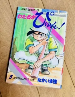 2026年最新】わたるがぴゅんの人気アイテム - メルカリ
