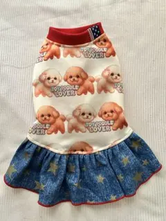 Item thumbnail for item 639dc598-166c-48c3-ac6d-e02a1c822ecd