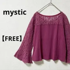 mystic【F】長袖カットソー　透け感　フレアスリーブ　レース加工　ブラウス