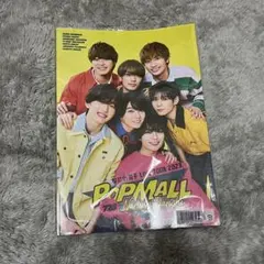 なにわ男子 Pop Mall パンフレット ポプモ