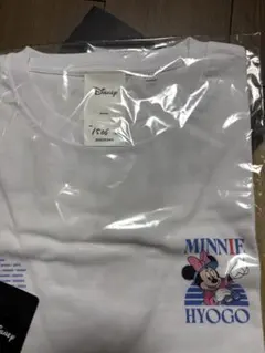 限定 DISNEY MY HOME TOWN COLLECTION ディズニー