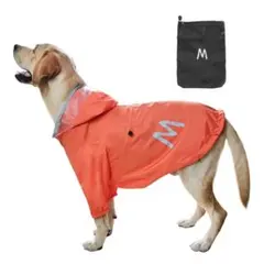 Item thumbnail for item 8181934f-bc0f-4b44-a62d-fee73483bbd6