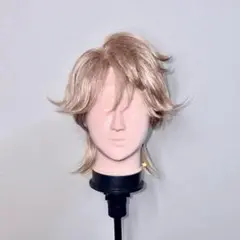 伏見ガク 伏見 ガク にじさんじ セット済 ウィッグ コスプレ衣装
