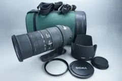 SIGMA 50-500mm F4-6.3 APO EX HSM ★超望遠★