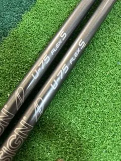 Item thumbnail for item 26d21561-e38a-4a99-9abe-c8ad3becde61