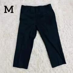 【アンナルナ】❣️美品❣️アンクルパンツ/パンツ/レディース/ブラック/Mサイズのサムネイル
