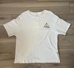 BILLABONG ビラボン Tシャツ Mサイズ