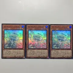 マルチャミー・プルリア3枚セット