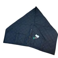 Item thumbnail for item 80c403b4-2bd6-40f8-b60c-b9b1b30a133c