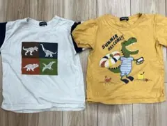 クレードスコープ　120 恐竜Tシャツ