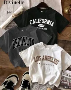 SHEIN ロゴプリント 半袖Tシャツ 3枚セット　M