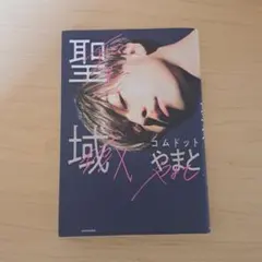聖域 コムドット やまと