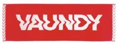 Vaundy バウンディ タオル 赤のサムネイル