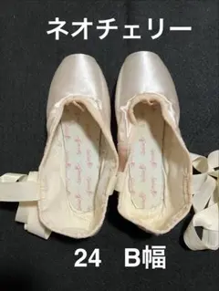 シルビア 細幅トゥシューズ 24 B ネオチェリー