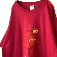 ギルダン GILDAN カレッジ ステート Tシャツ L レッド 赤 古着